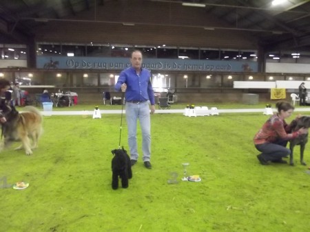 09-03-2014 Open show KC de Peel BOB - 2e BIG